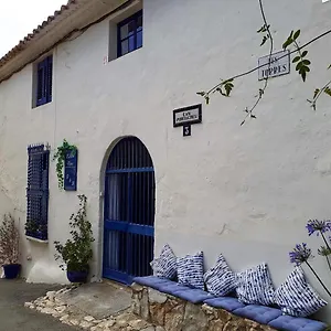 Little Vine , Sant Pere De Ribes Spain